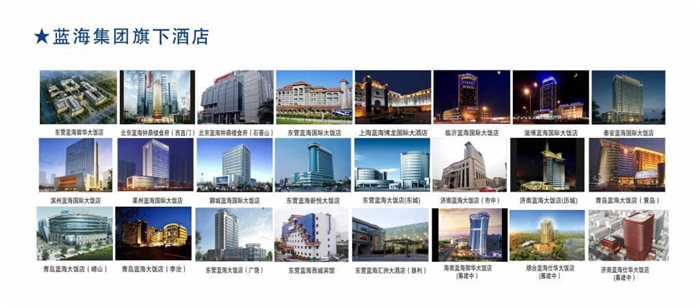 蓝海集团_页面_2_图像_0001.jpg