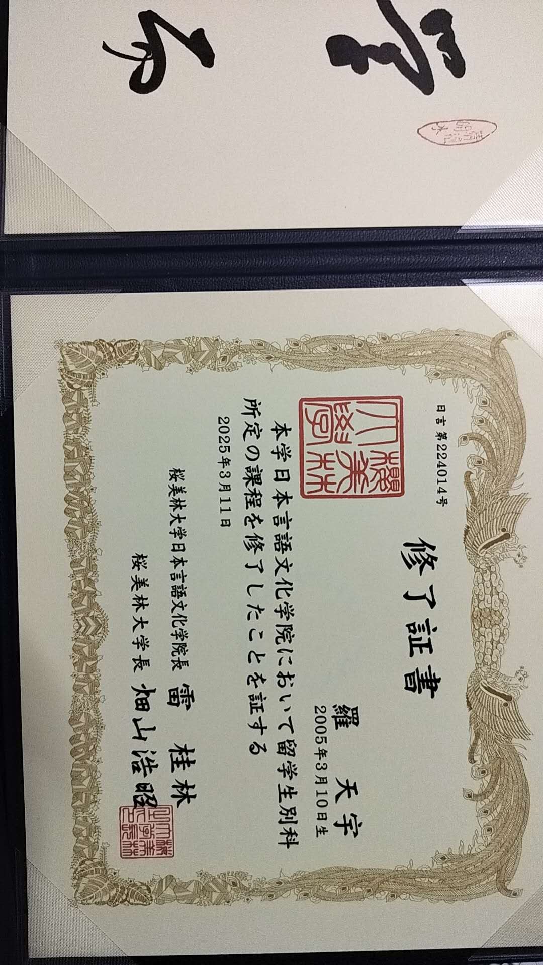 1744254521136488.jpg